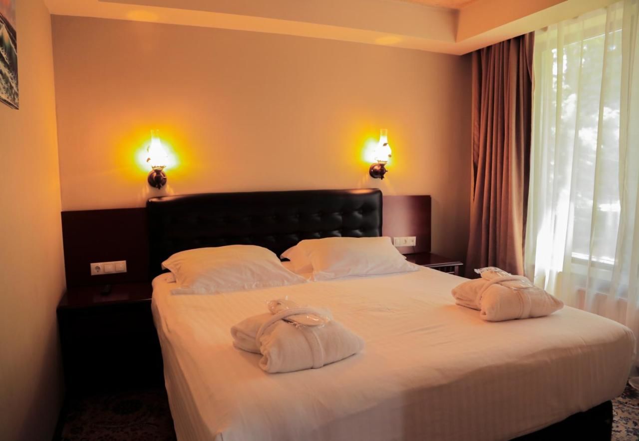 Отель Borjomi Palace Health & Spa Center Боржоми